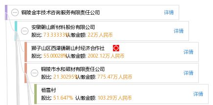 銅陵金豐技術咨詢服務有限責任公司 專業引領，技術賦能未來